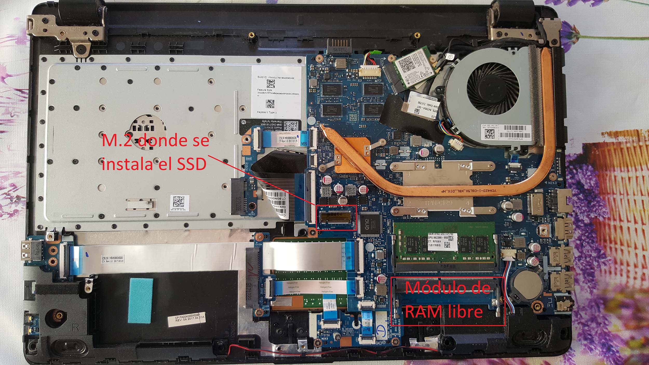 Solucionado: Cambiar disco duro por disco SSD - Comunidad de Soporte HP -  928180